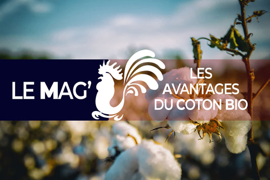 article de blog avantages du coton bio, le mag' blog de T-French, fleur de coton bio, fleur de coton, avantages du coton bio